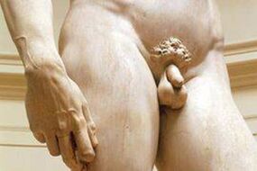 Small dick